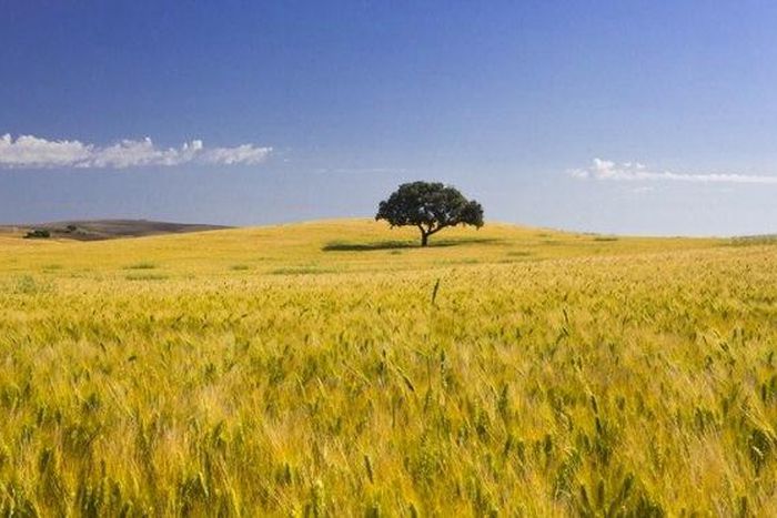 ___3807540___https:______static.pulse.com.gh___webservice___escenic___binary___3807540___2015___5___29___7___a8015d16-38b7-43a9-9dd5-9281a0330fe1-620x372