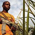 African holding a gun