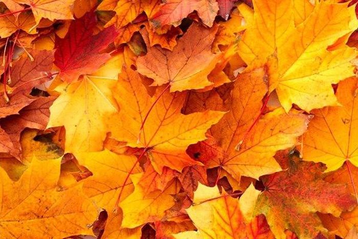 'To Autumn' by John Keats