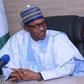 President Muhammadu Buhari FEC