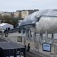 A giant whale sculpture is displayed along the side of the river Seine in Paris, France, December 5, 2015 as the World Climate Change Conference 2015 (COP21) continues at Le Bourget near the French capital.