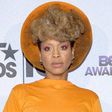 Erykah Badu traces roots to Cameroon, West Africa