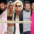 Pulse List of 10 Celebrity Splits in Hollywood in 2015