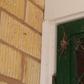 Police rushed to a crime scene only to discover a man screaming at a Spider