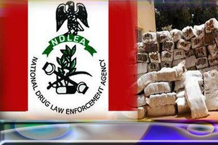 National Drug Law Enforcement Agency