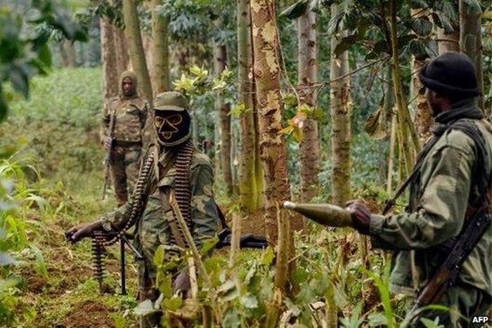 Hutu militia kill 14 from rival ethnic group in east Congo: army
