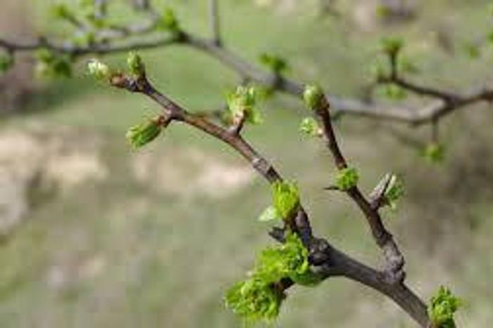 ___3882680___https:______static.pulse.com.gh___webservice___escenic___binary___3882680___2015___6___18___19___url