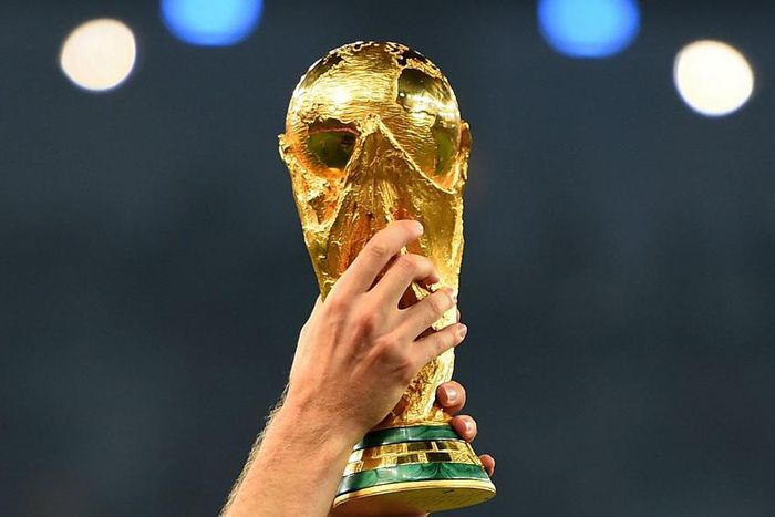 ___3516472___https:______static.pulse.com.gh___webservice___escenic___binary___3516472___2016___10___15___2___fifaworldcup-cropped_19orwspyhq8bf1a3fenaeev07v