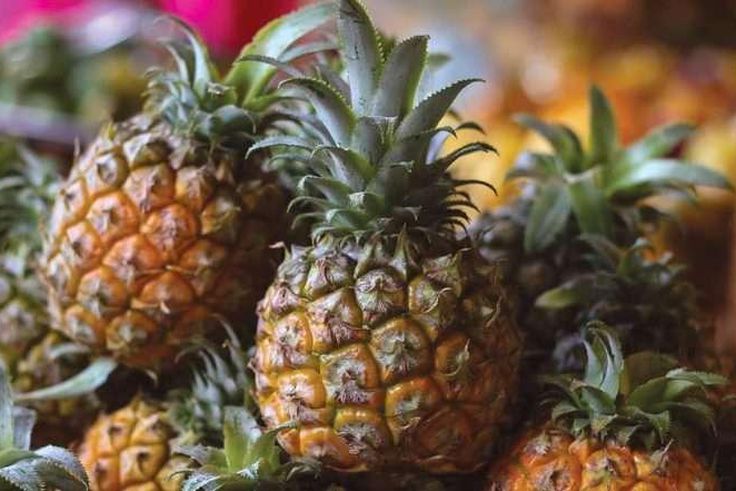 How to properly eat a pineapple [Latestly]