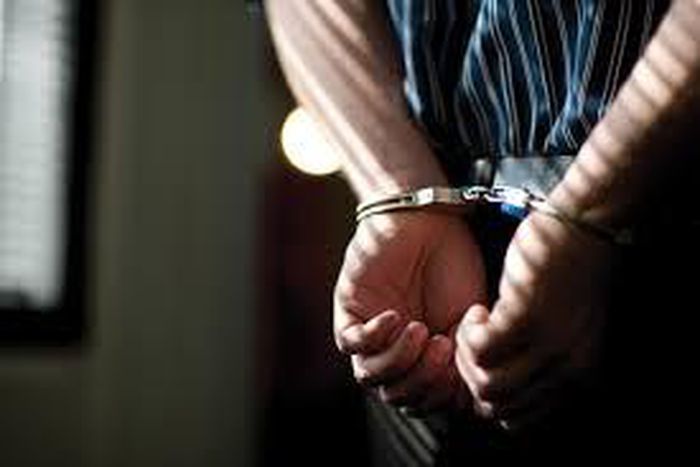 25-year old Man sentenced to prison for beheading mother's cat