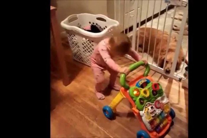 Video of toddler head banging to a song would make your day