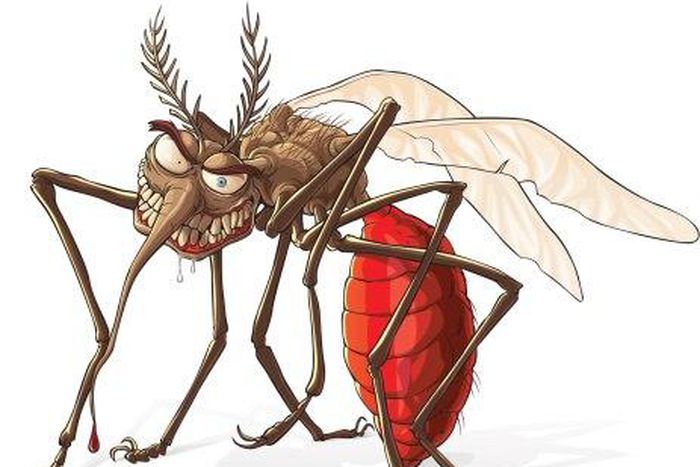 Mosquitoes as vampires