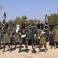 At least 48 killed Maiduguri, Adamawa bombings