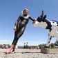 Taking selfies with cows goes viral on social media