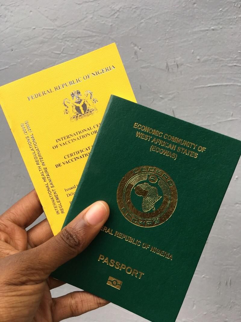 Yellow card and ECOWAS passport [Naija single girl]
