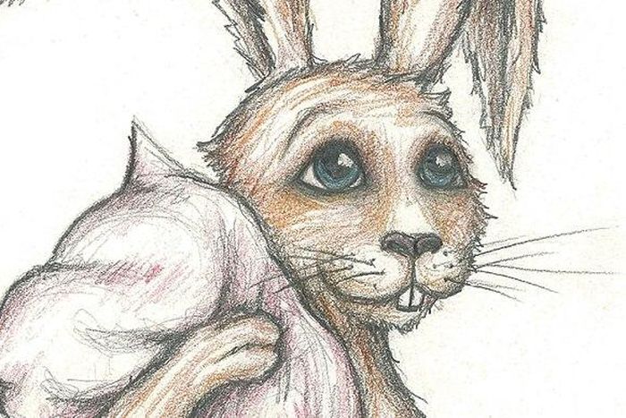 The Rabbit Who Wants To Fall Asleep has been translated into seven languages