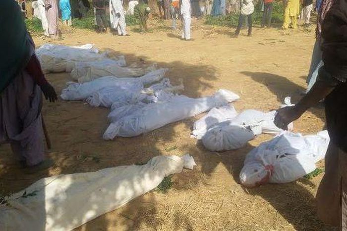 Boko Haram kills 20 members of a family.