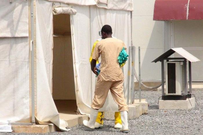 Guinea cleared to host matches after being declared Ebola-free