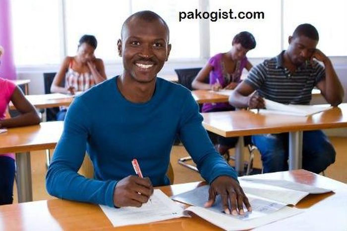 5,000 Nigerians benefit from U.S. exchange programmes -- Envoy