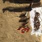 Guns and ammunitions gotten from the herbalist
