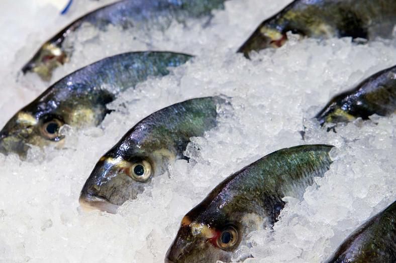 Kenya imports approximately 1.8 million kilogrammes of fish every month.