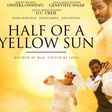 ___3968316___https:______static.pulse.com.gh___webservice___escenic___binary___3968316___2015___7___13___17___Half-of-a-Yellow-Sun-March-2014-BellaNaija