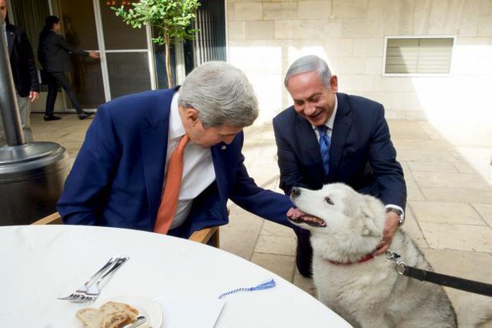 Israeli PM's dog bites political visitors