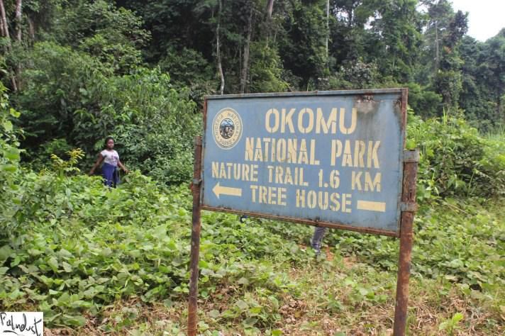 Okomu National Park [The Cable Lifestyle]