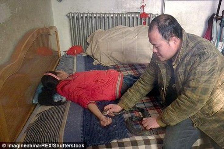 Wang Jingshuai holding Wang Mengyao down as he sets the Cobra on her wrist