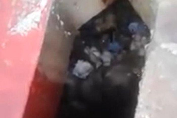 Newborn baby rescued from disgusting toilet after she was left to die in human excrement
