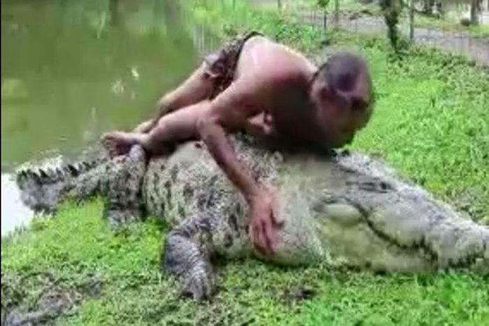 ___3778880___https:______static.pulse.com.gh___webservice___escenic___binary___3778880___2015___5___20___16___CROCODILE+MAN