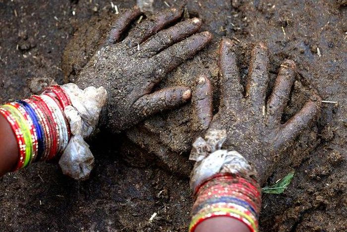 Cow shit selling like hot cakes online