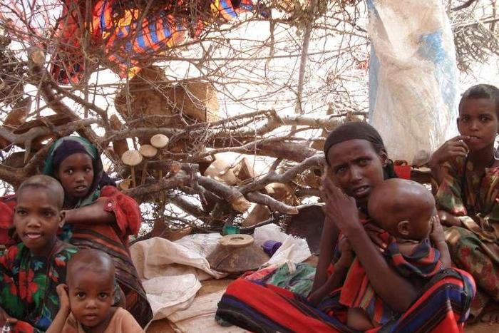 ___4062117___https:______static.pulse.com.gh___webservice___escenic___binary___4062117___2015___8___11___18___4e7345306-somalis_1
