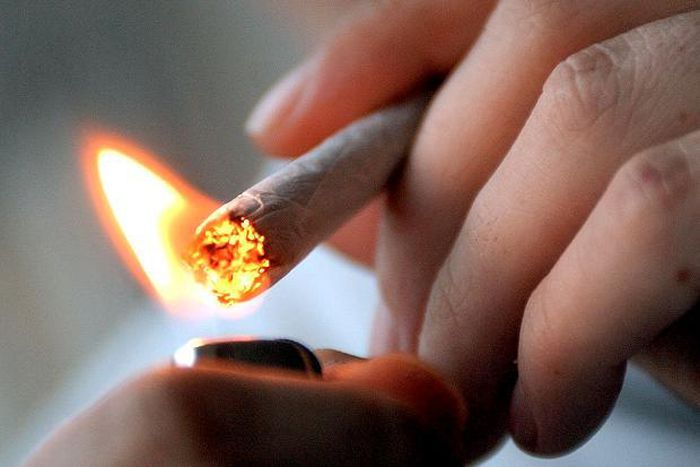 Man arrested after giving police wallet containing weed