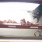 Video of wild animal trying to steal Donut from a shop goes viral