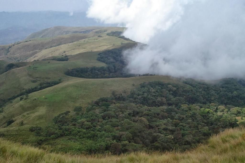 Chappal Waddi Mountain [Madivas]