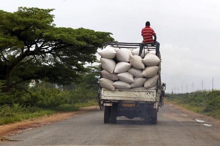 A man rides atop a truck ferrying bags of maize to a market along a road in the outskirts of Burundi's capital Bujumbura, April 30, 2015. REUTERS/Thomas Mukoya