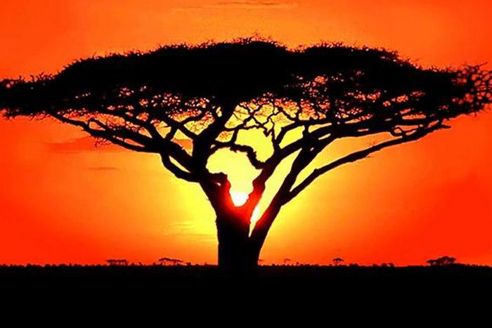 ___4036233___https:______static.pulse.com.gh___webservice___escenic___binary___4036233___2015___8___3___13___african_dawn_slide_1