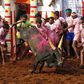 Men killed during Indian bull wrestling  [New Straits Times]