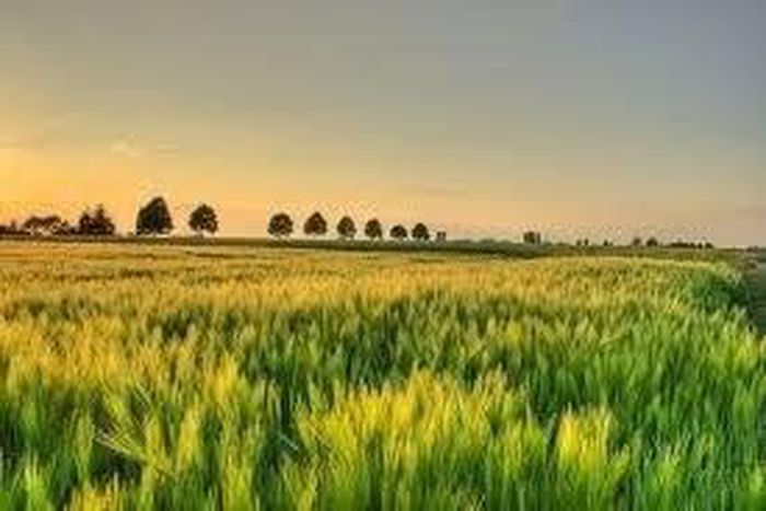 ___4436545___https:______static.pulse.com.gh___webservice___escenic___binary___4436545___2015___12___7___15___a_1