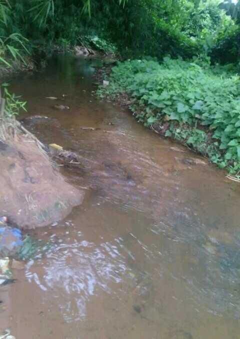 The cursed Inachalo river [SteemKR/simisola2]