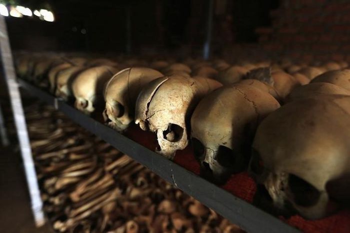 Preserved skulls are spread out on a metal shelf in a Catholic church in Nyamata April 9, 2014. REUTERS/Noor Khamis