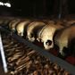 Preserved skulls are spread out on a metal shelf in a Catholic church in Nyamata April 9, 2014.    REUTERS/Noor Khamis