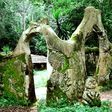 Osun-Osogbo sacred grove [Come to Nigeria]