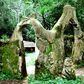 Osun-Osogbo sacred grove [Come to Nigeria]