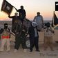 German cabinet backs plans to join military campaign against IS in Syria
