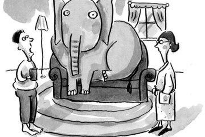 The elephant in the room