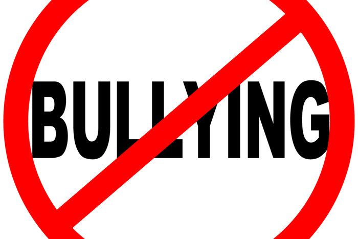 ___4503635___https:______static.pulse.com.gh___webservice___escenic___binary___4503635___2015___12___28___23___NO-BULLYING