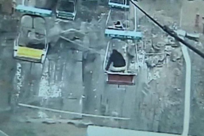 Video of a man jumping into a Tiger's den goes viral
