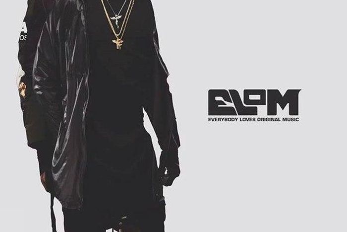 "ELOM" album artwork